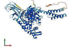 Protein Structure (PS) image for Heat Shock 70kDa Protein 2 (HSPA2) (AA 1-633) protein (His tag) (ABIN7562910)