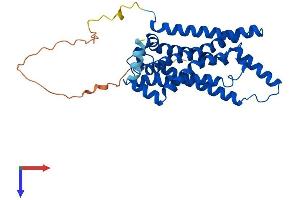 STEAP1 Protein (AA 1-339) (His tag)