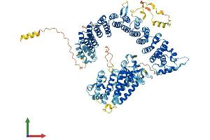 Protein Structure (PS) image for Integrator Complex Subunit 4 (INTS4) (AA 1-963) protein (His tag) (ABIN7554160)