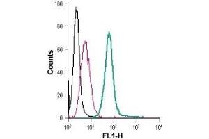 Cell surface detection of S1PR3 in live intact mouse J774 macrophage cells: (black line) Cells. (S1PR3 Antikörper  (Extracellular) (FITC))