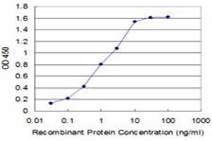 Detection limit for recombinant GST tagged FADD is approximately 0. (FADD Antikörper  (AA 109-208))