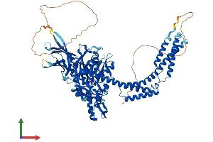 Protein Structure (PS) image for Heat Shock 70kDa Protein 4 (HSPA4) (AA 1-840) protein (His tag) (ABIN7548391)