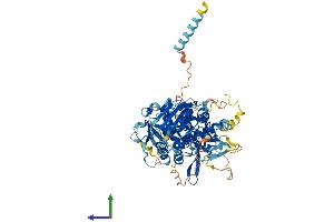 Protein Structure (PS) image for Exostoses (Multiple)-Like 1 (EXTL1) (AA 1-676) protein (His tag) (ABIN7547508)