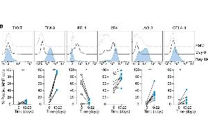 Representative example and average expression of the indicated inhibitory receptorson MAIT cells over time in culture (n = 6–8) using LAG-3 antibody (ABIN1169105). (LAG3 Antikörper  (N-Term))