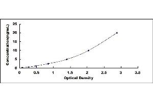 LTBP2 ELISA Kit