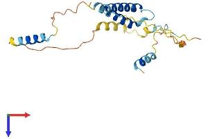 SERTAD3 Protein (AA 1-197) (His tag)