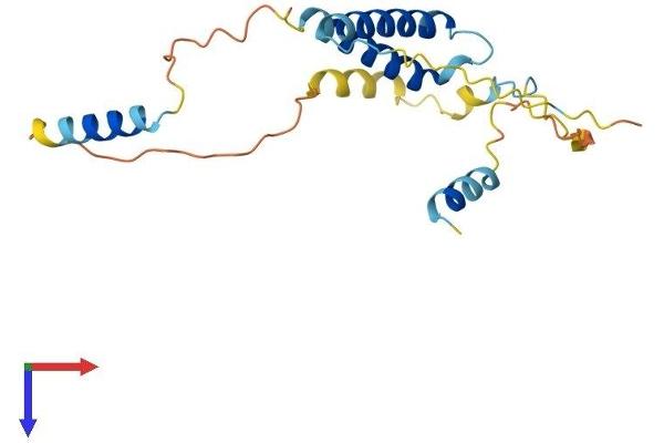 SERTAD3 Protein (AA 1-197) (His tag)