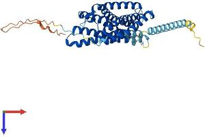 P2RY1 Protein (AA 1-373) (His tag)
