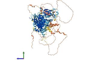 Protein Structure (PS) image for PITPNM Family Member 3 (PITPNM3) (AA 1-974) protein (His tag) (ABIN7555002)