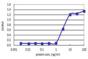 Sandwich ELISA detection sensitivity ranging from 1 ng/ml to 100 ng/ml. (IL8 (Human) Matched Antibody Pair)