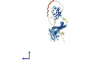 Protein Structure (PS) image for Phosphatidylinositol 3-kinase regulatory subunit gamma (PIK3R3) (AA 1-461) protein (His tag) (ABIN7550440)