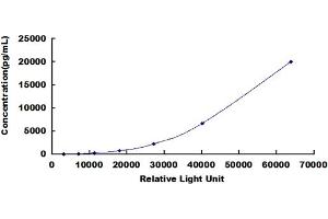 ELISA image for Tumor Protein P53 (TP53) CLIA Kit (ABIN492218)