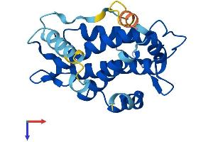 MOBKL2B Protein (AA 1-216) (His tag)