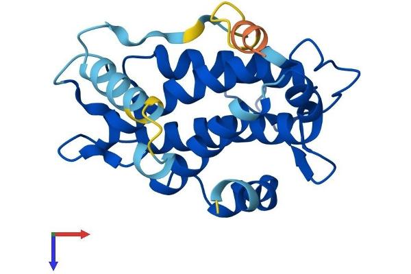 MOBKL2B Protein (AA 1-216) (His tag)