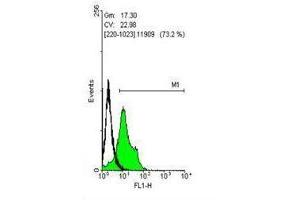 FACS Image Flow cytometry on human embryonic stem cells, staining with SOX2 ,antibody at 1:50 dilution(green) or rabbit IgG (black). (SOX2 Antikörper)