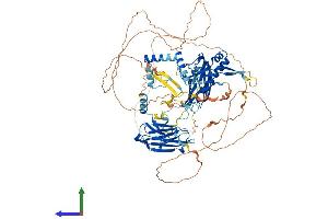 Protein Structure (PS) image for Chromosome 14 Open Reading Frame 104 (C14orf104) (AA 1-837) protein (His tag) (ABIN7554397)