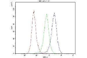 Flow Cytometry analysis of U251 cells using anti-Dynamin 1 antibody (ABIN5692848).