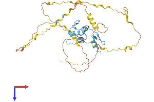 KLF2 Protein (AA 1-355) (His tag)