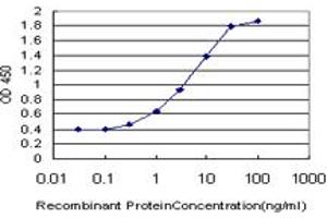 Detection limit for recombinant GST tagged NANOG is approximately 0. (Nanog Antikörper  (AA 98-195))