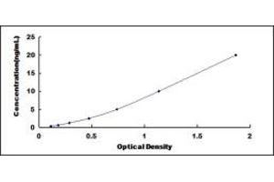 Typical standard curve (MMRN2 ELISA Kit)