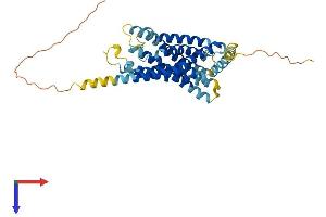 Protein Structure (PS) image for Mesothelin (MSLN) (AA 1-375) protein (His tag) (ABIN7554036)