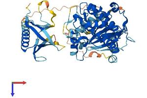 AKT1 Protein (AA 1-480) (His tag)