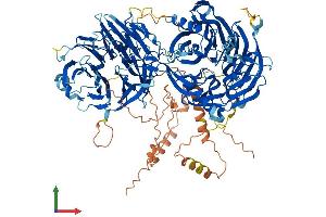 Protein Structure (PS) image for Lethal Giant Larvae Homolog 1 (LLGL1) (AA 1-1064) protein (His tag) (ABIN7554336)