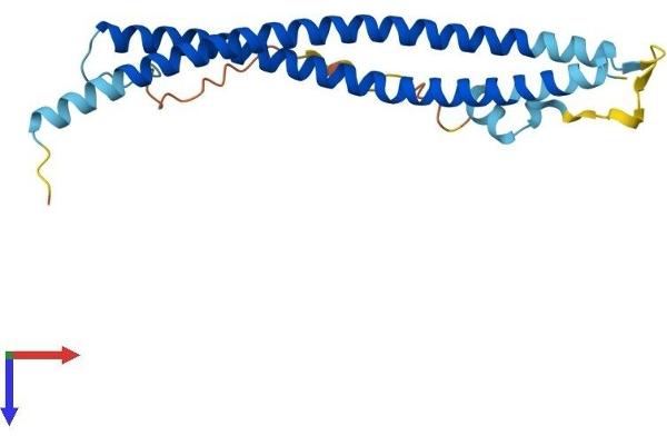 SNAP23 Protein (AA 1-211) (His tag)