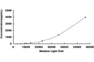 ELISA image for Myoglobin (MB) CLIA Kit (ABIN492000)