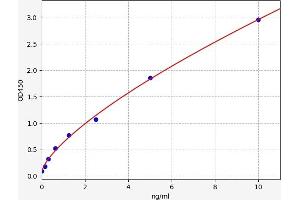 Typical standard curve (Erythroferrone (ERFE) ELISA Kit)