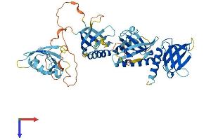 SNTA1 Protein (AA 1-503) (His tag)