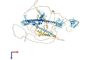 PDZRN3 Protein (AA 1-1066) (His tag)