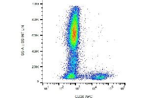 Flow cytometry analysis (surface staining) of human peripheral blood cells with anti-human CD26 (BA5b) APC. (DPP4 Antikörper  (APC))