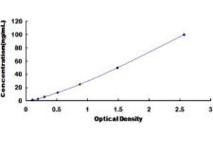 Typical standard curve (RAP1 ELISA Kit)