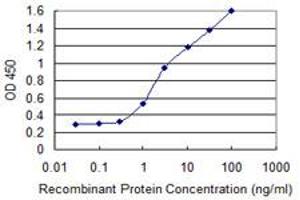 Detection limit for recombinant GST tagged ALPI is 0. (Intestinal Alkaline Phosphatase Antikörper  (AA 74-162))