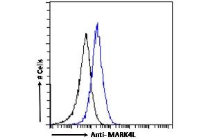 (ABIN184722) Flow cytometric analysis of paraformaldehyde fixed A431 cells (blue line), permeabilized with 0.