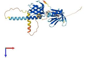 DOK6 Protein (AA 1-331) (His tag)