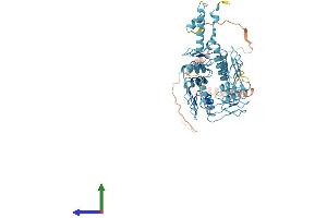 AlphaFold protein structure predicition of Human Recombinant ZNF66 Protein, UniprotID Q6ZN08