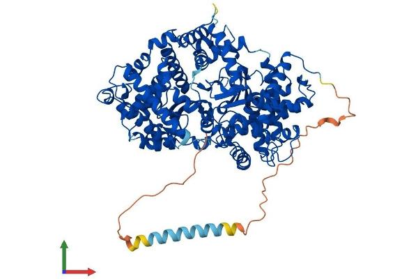 MMEL1 Protein (AA 1-779) (His tag)