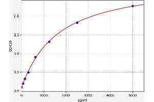 SP1 ELISA Kit