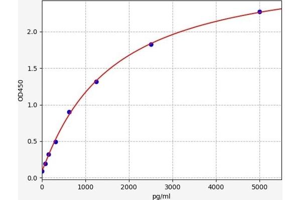 SP1 ELISA Kit