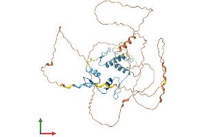 Protein Structure (PS) image for Wilms Tumor 1 (WT1) (AA 1-449) protein (His tag) (ABIN7545142)