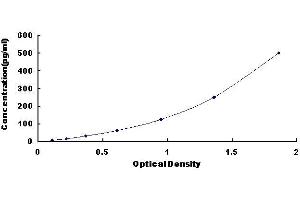 ELISA image for Vasoactive Intestinal Peptide (Vip) ELISA Kit (ABIN414065)