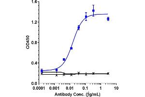 Immobilized human IL 33 His at 2 μg/mL can bind Anti-IL-33 Reference Antibody (etokimab), EC50=0.