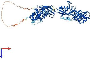PUS10 Protein (AA 1-527) (His tag)