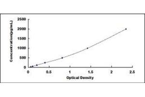 Typical standard curve (LGALS12 ELISA Kit)