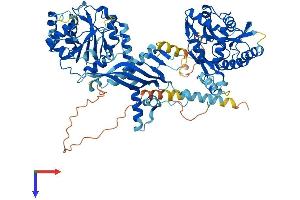 CHSY1 Protein (AA 1-800) (His tag)