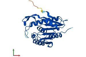 Protein Structure (PS) image for Lysophospholipase I (LYPLA1) (AA 1-230) protein (His tag) (ABIN7549119)