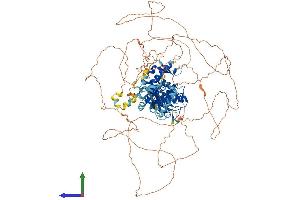 AlphaFold protein structure predicition of Mouse Recombinant Senp7 Protein, UniprotID Q8BUH8 (SENP7 Protein (AA 1-1037) (His tag))