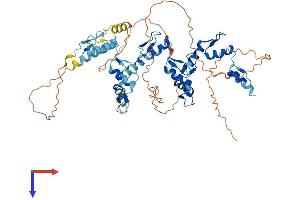 ZNF697 Protein (AA 1-545) (His tag)